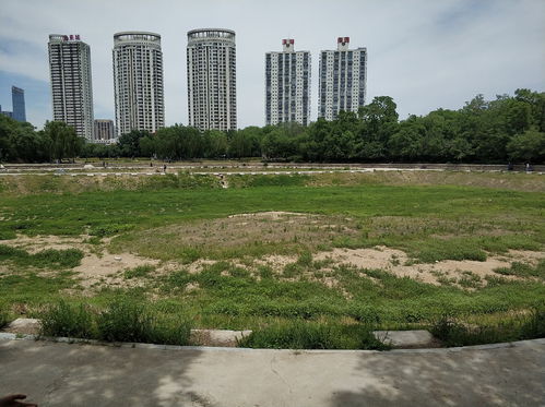 佛山免费露营地点推荐