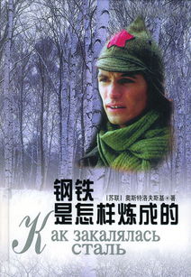 《钢铁是怎样炼成的》的主要人物有哪些人物?