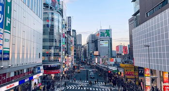 新宿站行李寄存，新宿站地图