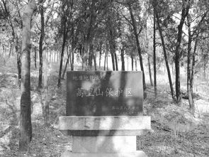 蒿里山是地府入口吗，泰安鬼城蒿里山
