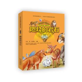 严实和岩石的拼音区别?