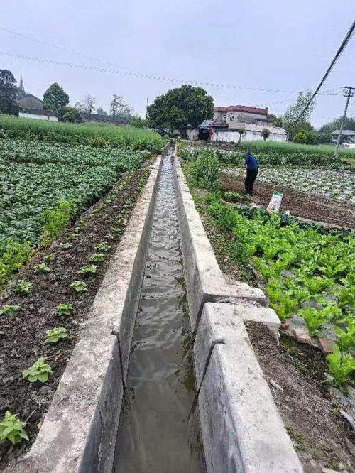沟渠的读音沟渠的读音是什么