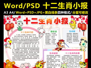 兔年手抄报怎么做