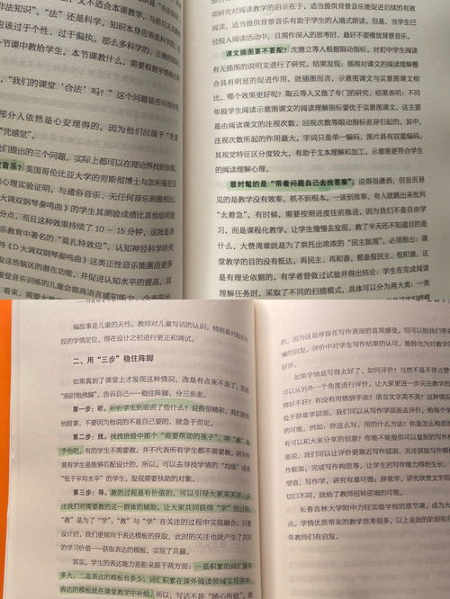 我的新语文老师作文