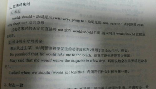 过去将来时的结构