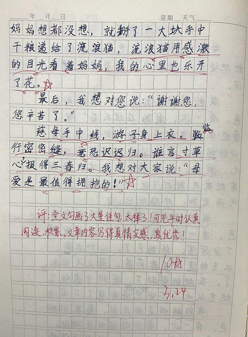 《感谢妈妈》作文500字