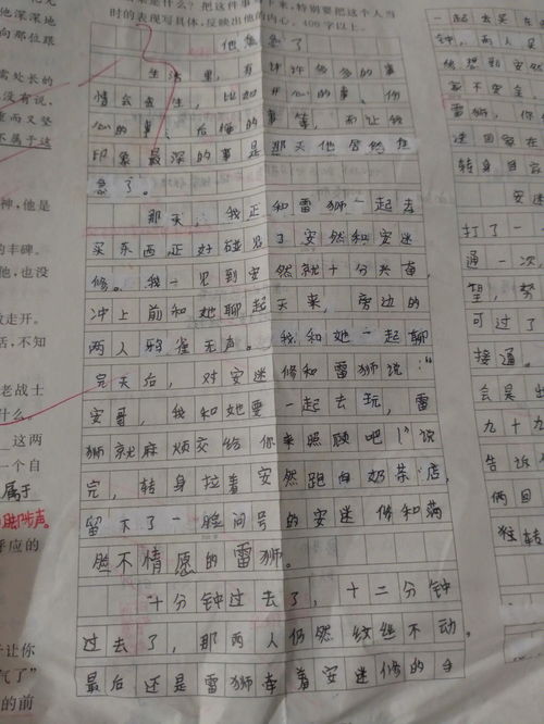 这就是我作文