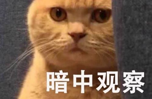 什么地听讲，什么地听一年级