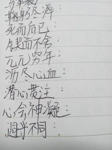 请词语接龙，请词语两个字