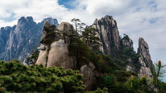高山景行造句，高山景行下一句