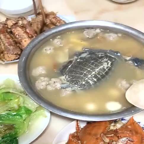 王八汤的做法视频，王八汤图片