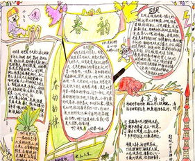 爱护花草树木手抄报内容