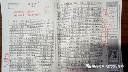 那一缕春风作文500字，那一缕春风作文550字