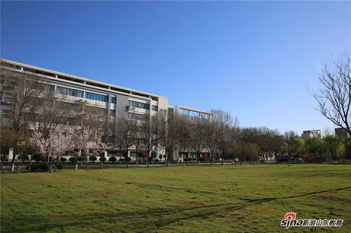 山财东方学院是几本