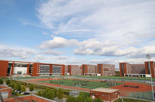 北京城市学院教务处，学生教务管理系统登录入口