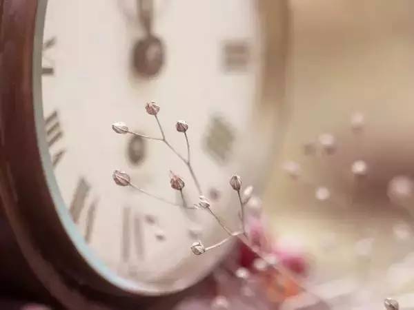 体谅的意思