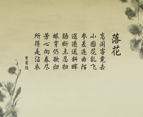 古诗文网桌面小组件无法更新