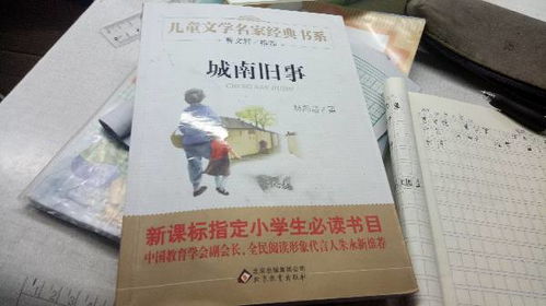 城南旧事好词好句摘抄读书笔记，城南旧事好词好句摘抄第二章