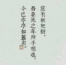 一句话的力量作文怎么写