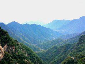 栾川免费景点大全