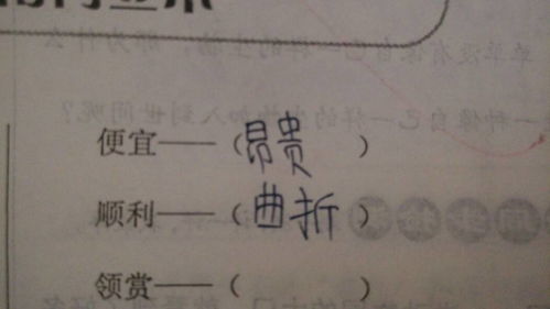 重的反义词是什么词，尊重的反义词