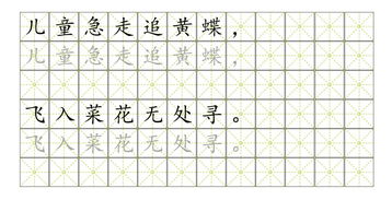 帖可以组什么词