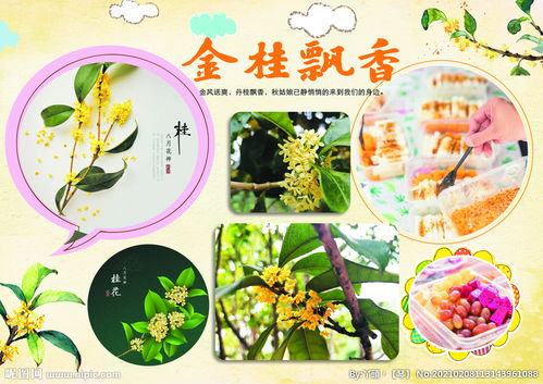 金桂飘香造句子三年级