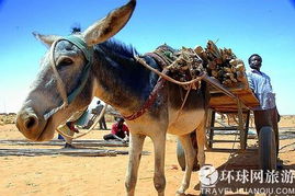 苏丹人口和面积是多少
