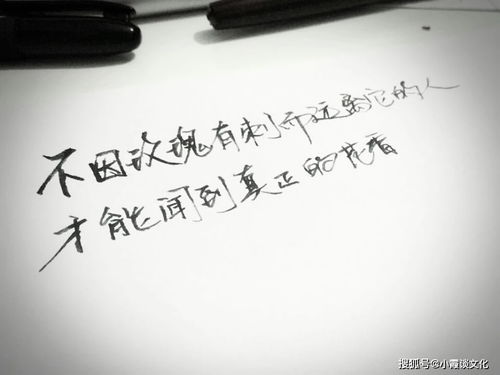 奋发造句二年级简单