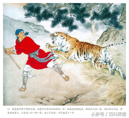 武松打虎手抄报图片，武松打虎手抄报初中