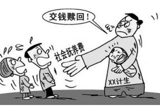 如果要罚款是按什么罚,社会抚养费是什么意思?大家都