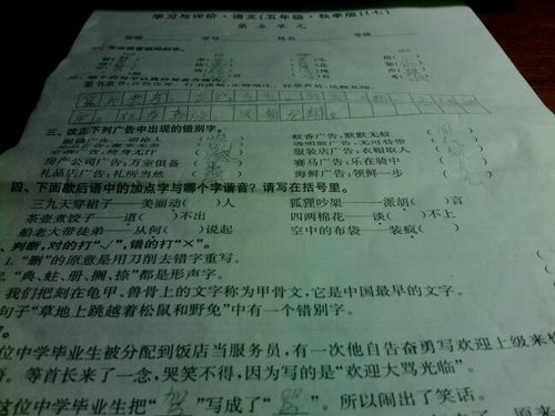 琵琶两字怎么读