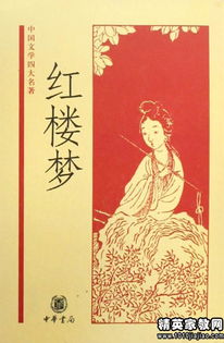 红楼梦读书笔记300字每一章，红楼梦读书笔记300字第一回
