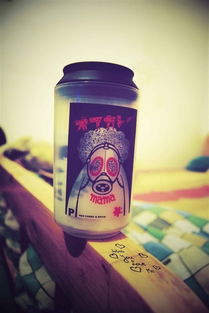 canned是什么意思啊，canned fruit