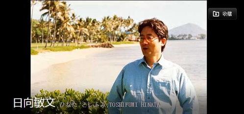 anguish和agony的区别，安规是什么意思