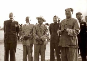 什么是威信