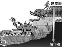 地质年代是什么?