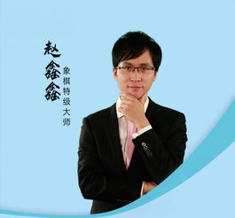 赵鑫鑫象棋棋理三部曲写的好吗