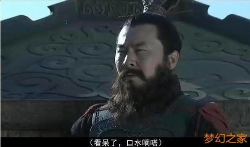 三国演义中割须弃袍的人物是谁，三国演义割须弃袍主要内容