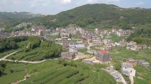 军营村旅游攻略，军营村景点