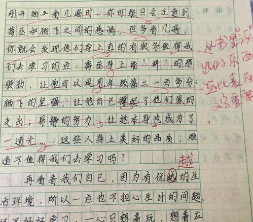 苏七块读后感500字优秀作文，苏七块读后感200字