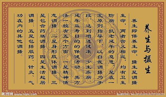摄生"、"贵生"、"自爱"是以下哪个学派的养生理念