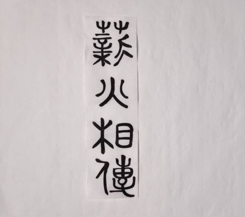 奋发有为怎么造句