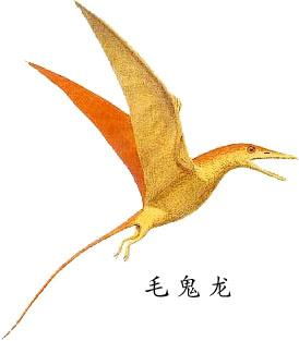关于风神翼龙的小知识