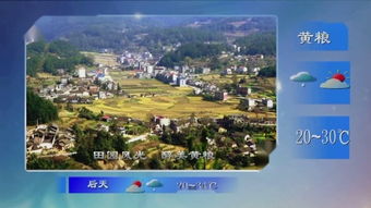林州今冬天气趋势