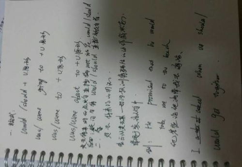 过去将来时结构would，过去将来时结构will