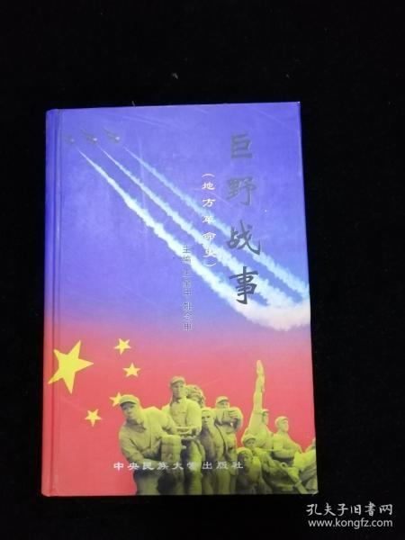王小波《我的精神家园》读后感范文推荐