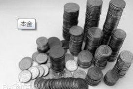 本金英文，本金斯利