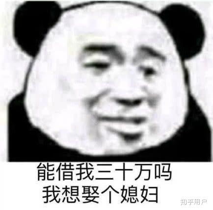 预科生是什么意思?