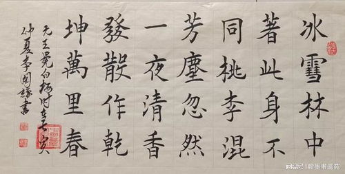 白梅王冕翻译，白梅王冕运用了什么手法
